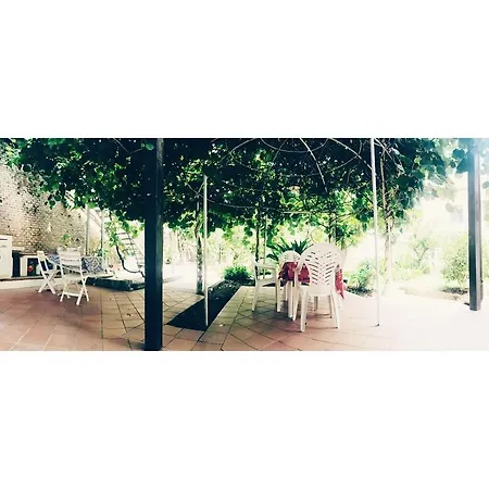Aloha House-2